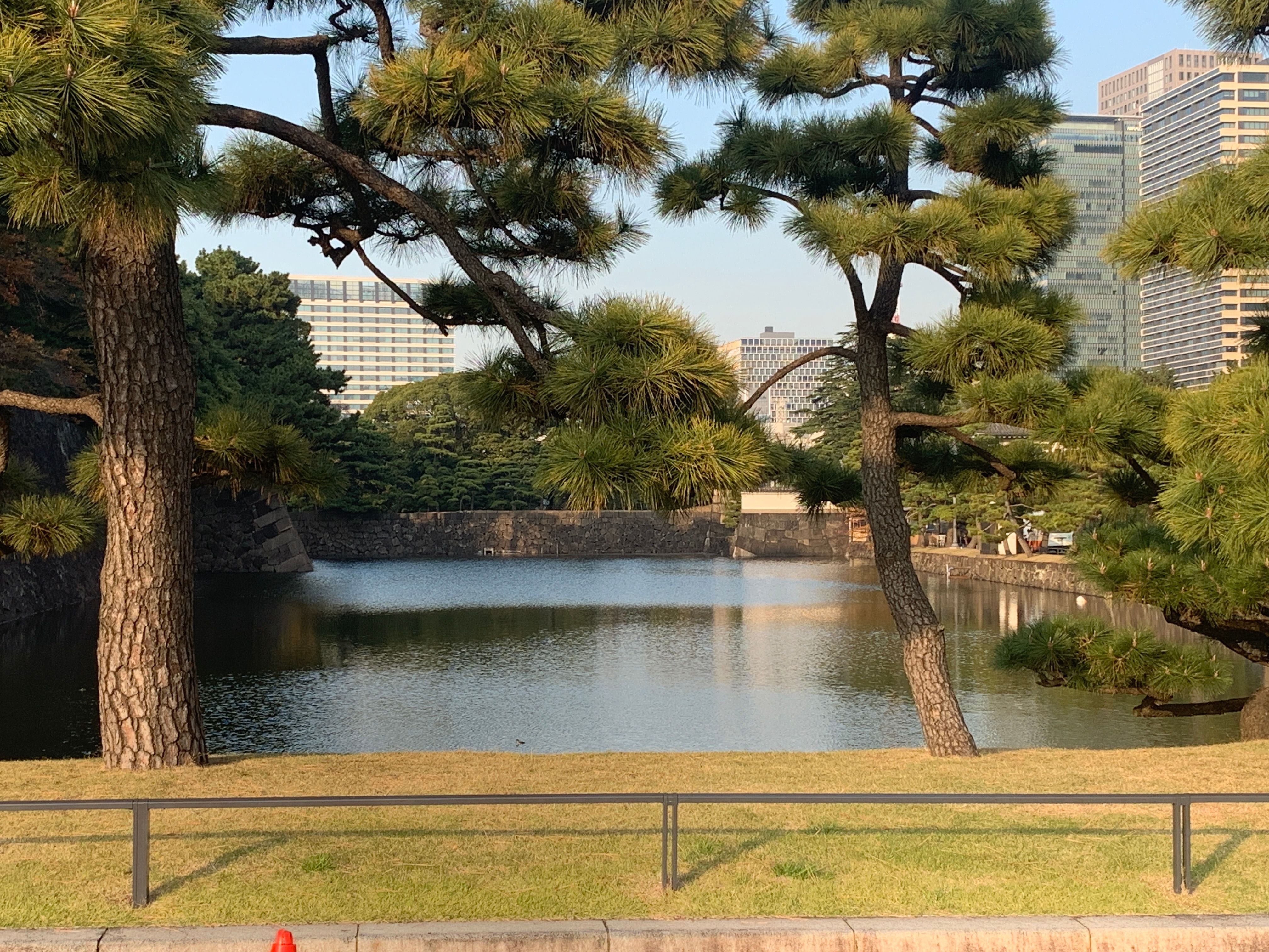 What I have learnt on this family trip to Japan What I have learnt on this family trip to Japan
